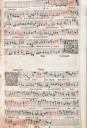 Pagina da 